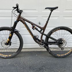 2019 Rocky Mountain A50 BC Edition XL