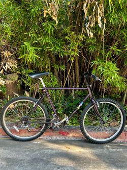 BMW Active Line Folding Vintage Mountain Bike