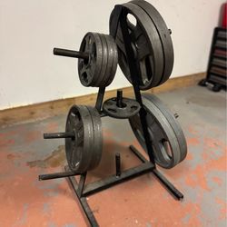Gym weight plates