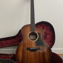 224ce Deluxe Taylor Guitar