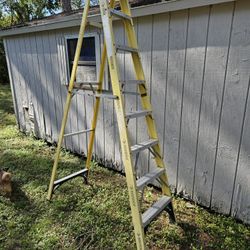 8' Ladder