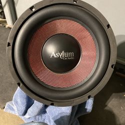 Asylum 12”  Woofer