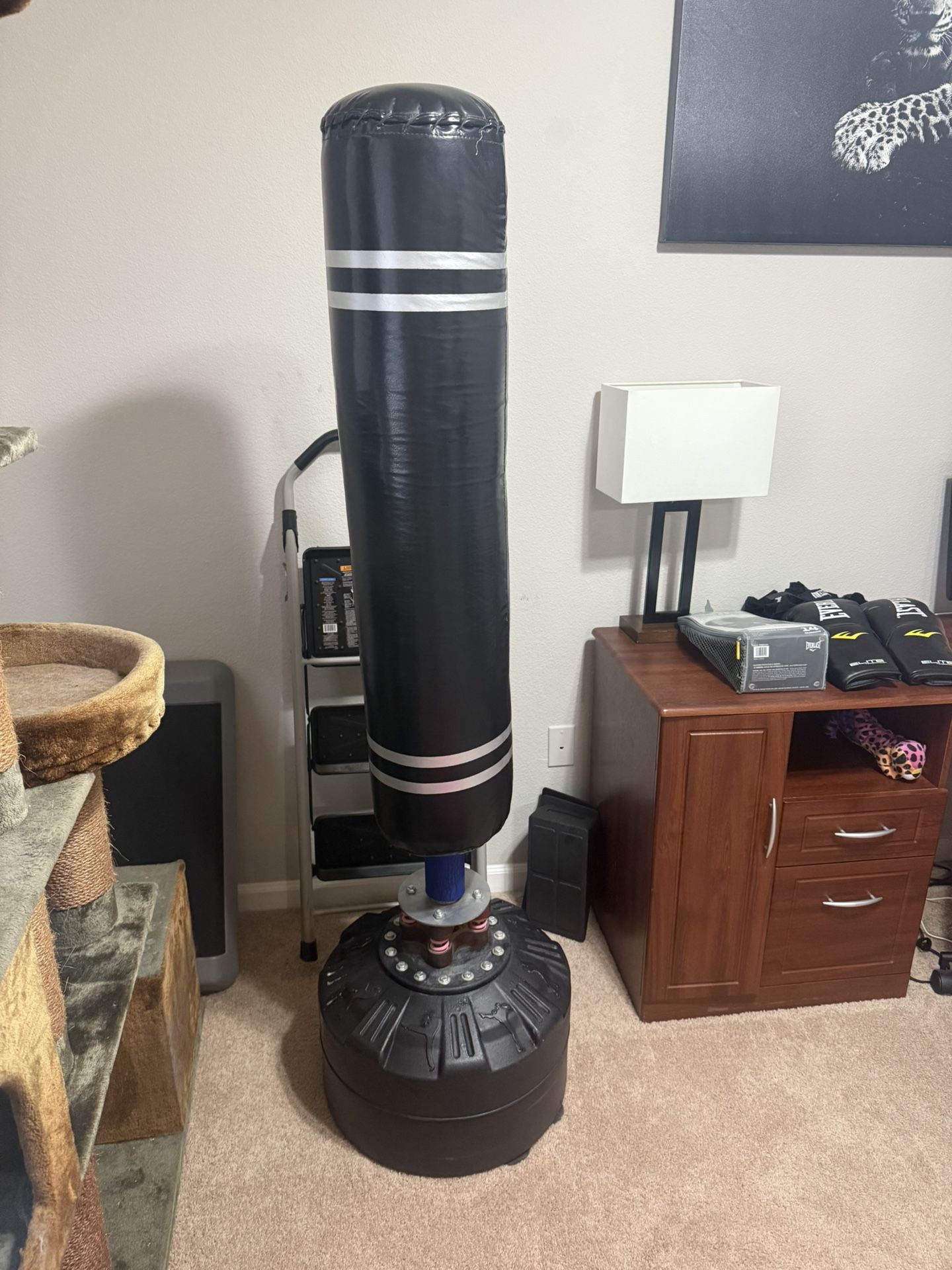 Standing Punching Bag And Boxing Gloves