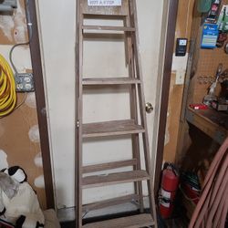 Werner 6' Folding Ladder