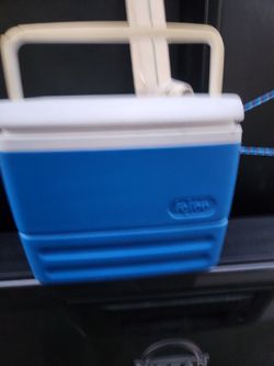 Igloo lunch box