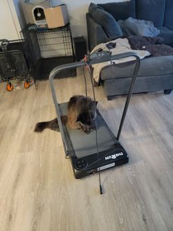 2025 The Run Treadmill Model 25 Excellent Condition Foldable - Ann Arbor, MI