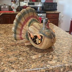 Beautiful Thanksgiving Turkey