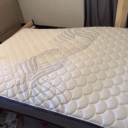 FREE Queen Mattress and Matress Bag