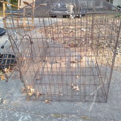 Large Dog Cage