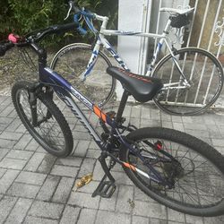 Schwinn Kids' Ranger 24" Mountain Bike in blue and gray