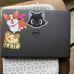 Dell Laptop 