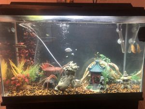 New And Used Fish Tank Decorations For Sale In Tampa Fl Offerup