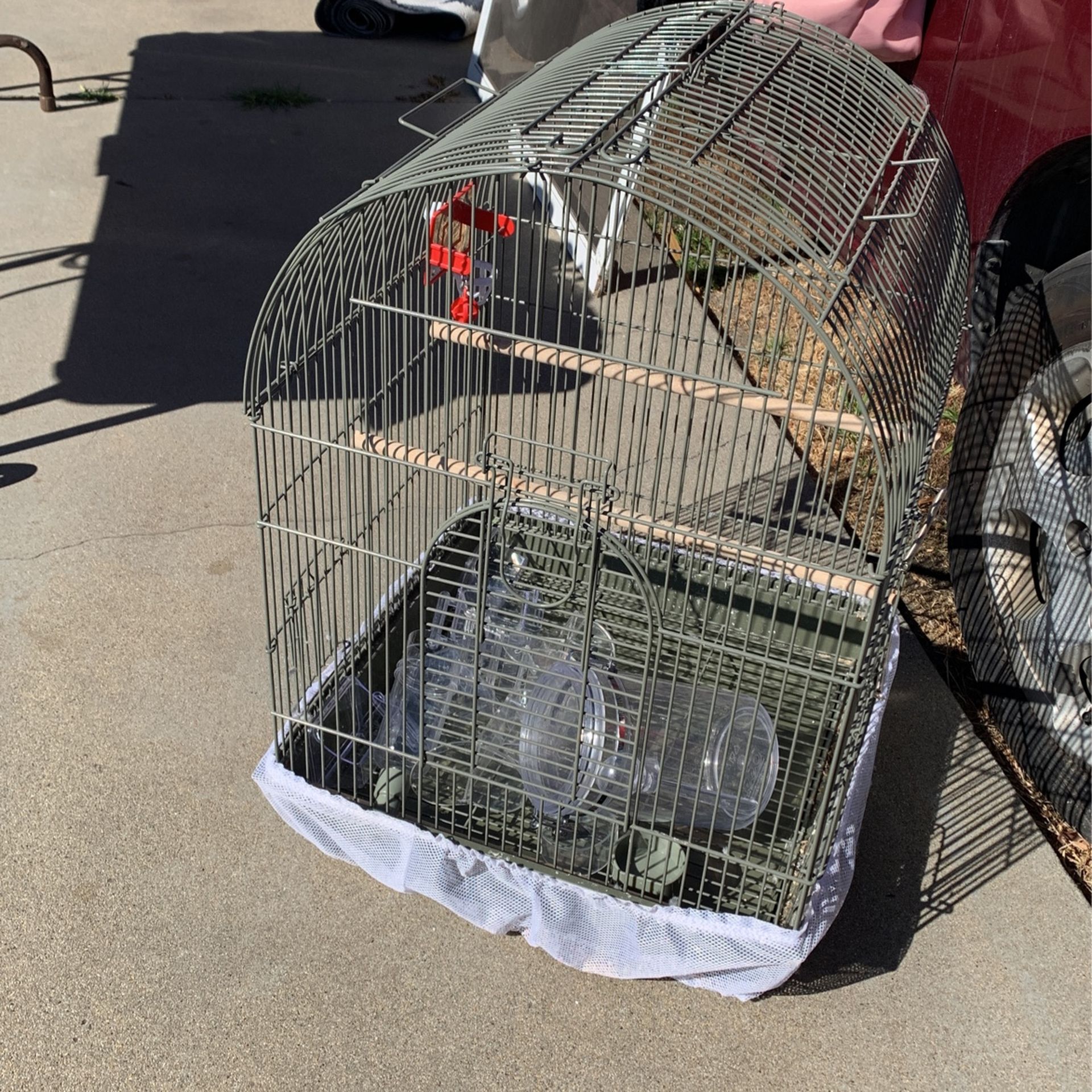 Bird Cage
