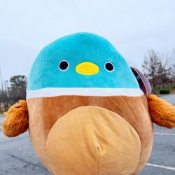 Squishmallow 12" Daska the duck
