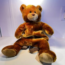 Backpack Teddy 19” Bag Cute !