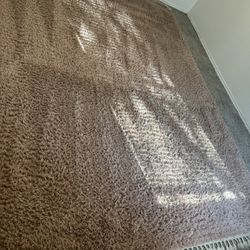 Huge Blush Rose Carpet 8’10”x12’