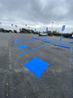 Stripping/SealCoat