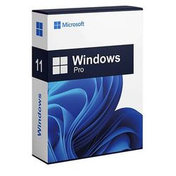 Windows 11 Pro 1PC OEM 