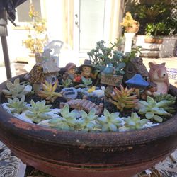 Garden In A Pot