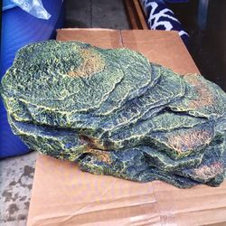 Large Rock Turtle Dock 