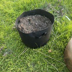 Pots With Soil