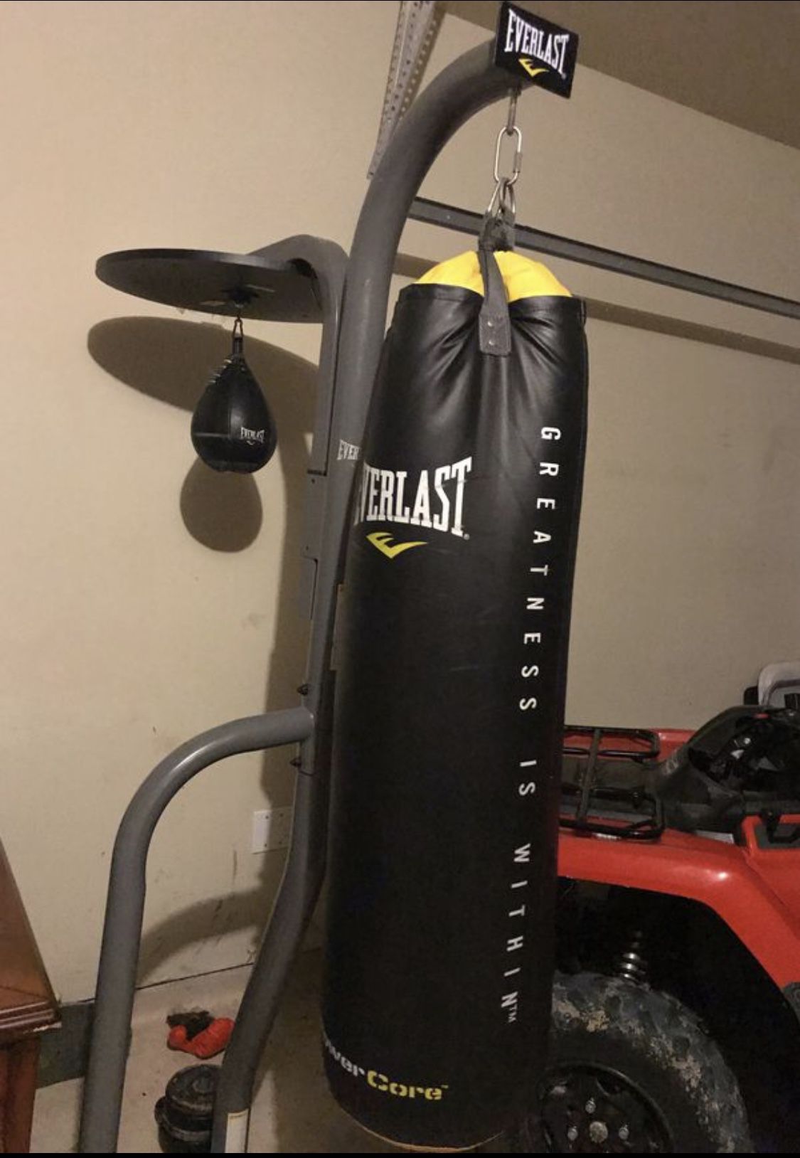 Everlast Punching Bag w/ speed bag and stand