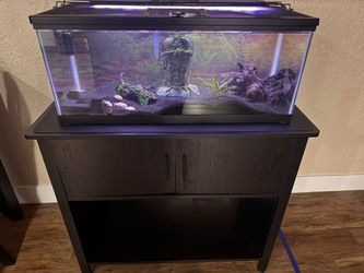 Fish tank with furniture stand
