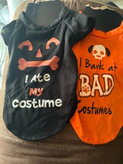 Halloween Dog Shirts Set of 2