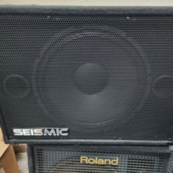 seismic sa15 bass cabinet