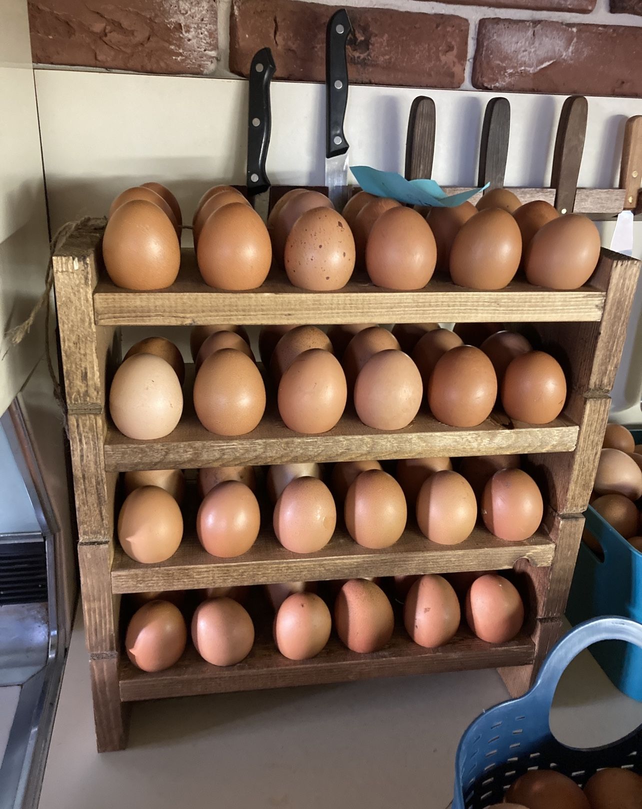 Rhode Island Natural Eggs $7 A Dozen!!