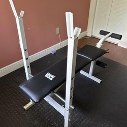 Bench Press 