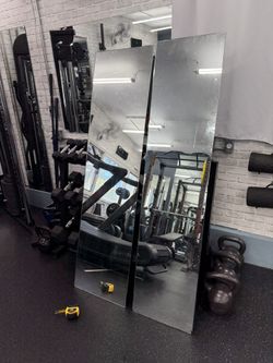 2 Tall Skinny Mirrors 