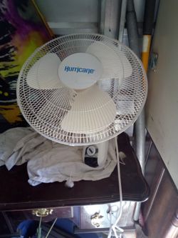 Hurricane Swinging Fan