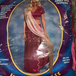Hindu Goddess Costume or Outfit with Wig