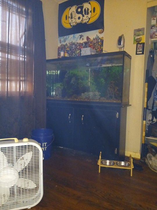 I Have A 60 Gallon Fish Tank For Sale Need Gone ASAP Asking 400