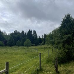 Horse Fencing