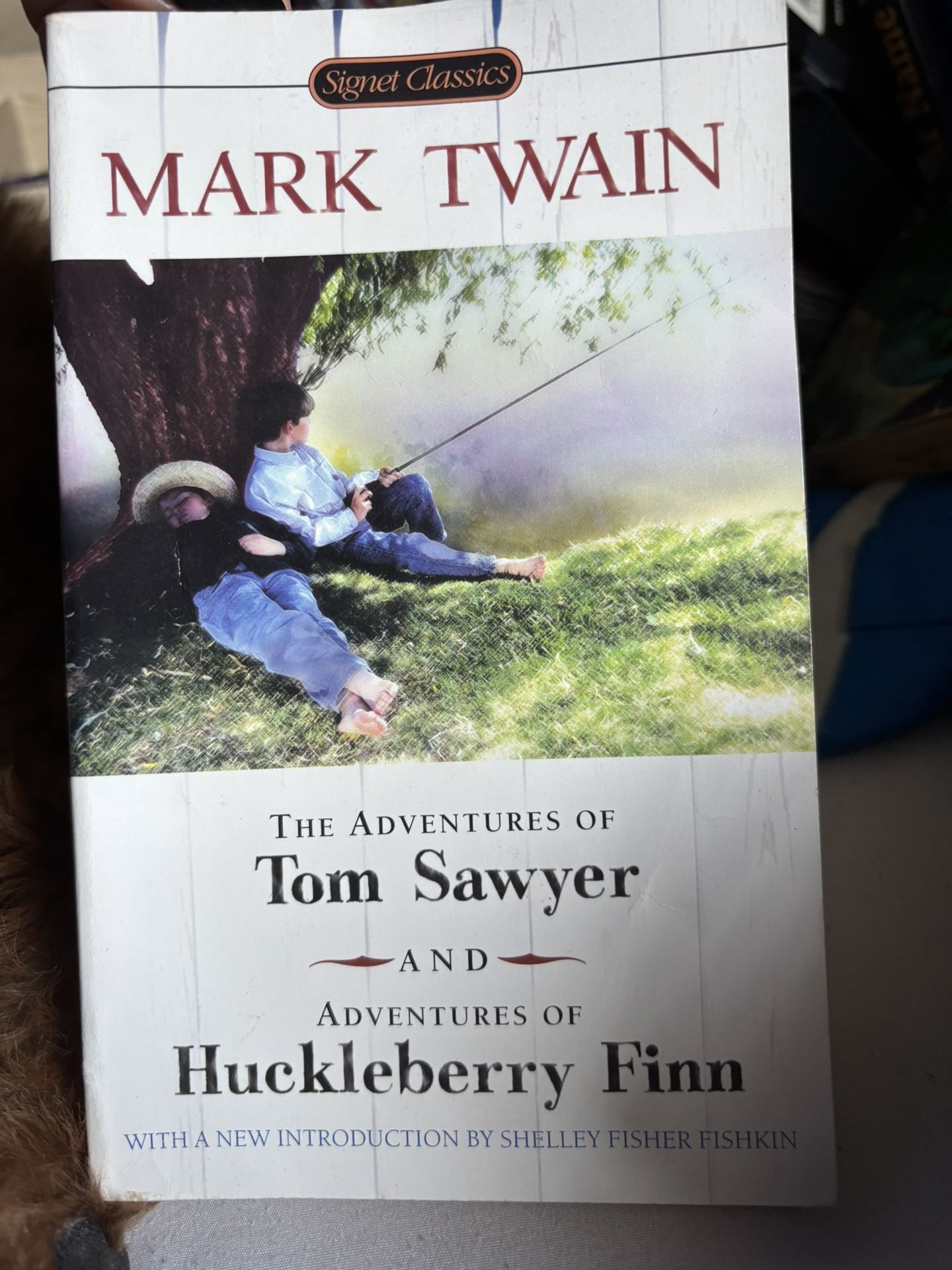 Mark Twain The Adventures of Tom Sawyer and Adventures of Huckleberry Finn