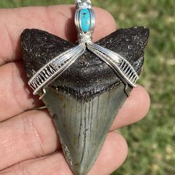 Megalodon Shark Tooth Big Necklace With Turquoise In Sterling Silver 