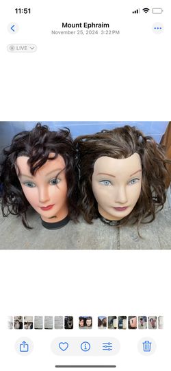 Cosmetology Mannequins 
