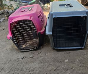 Animal cages , cones , bowls ect !
