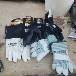 6 Pack Of Gloves 