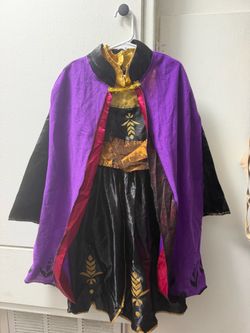 Princess Anna Costume