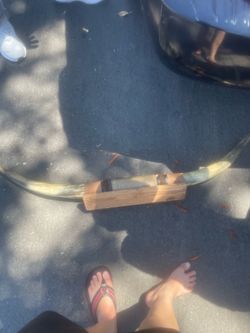 Vintage handcarve longhorn walmount display