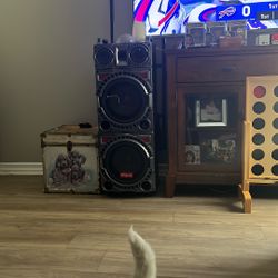 Wireless Bluetooth Speaker 