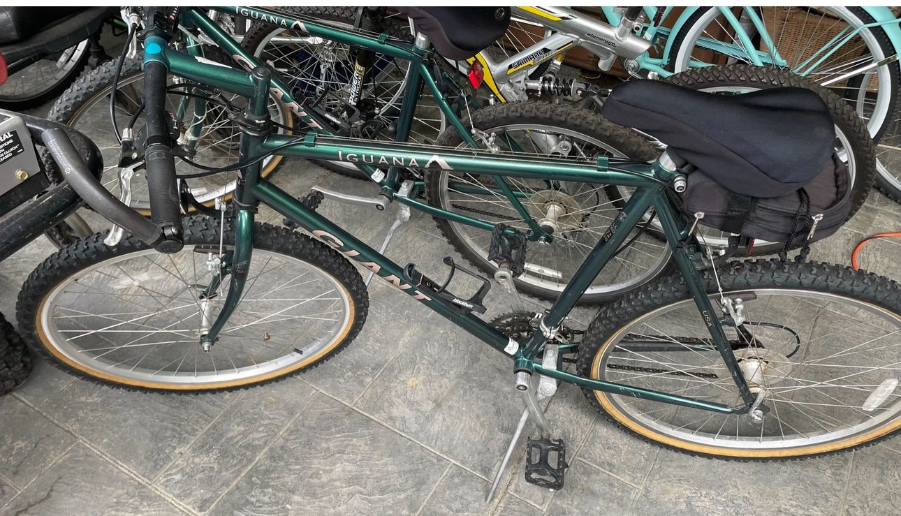 Giant Iguana Bikes