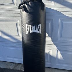 Everlast Punching Bag 90 Lb