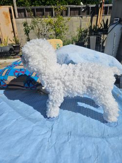 Dog mating doll