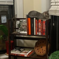 Leaning Shelf 
