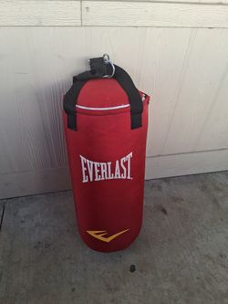 Everlast Red Punching Bag