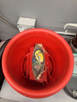 Deck Planter and Toucan garden gnome